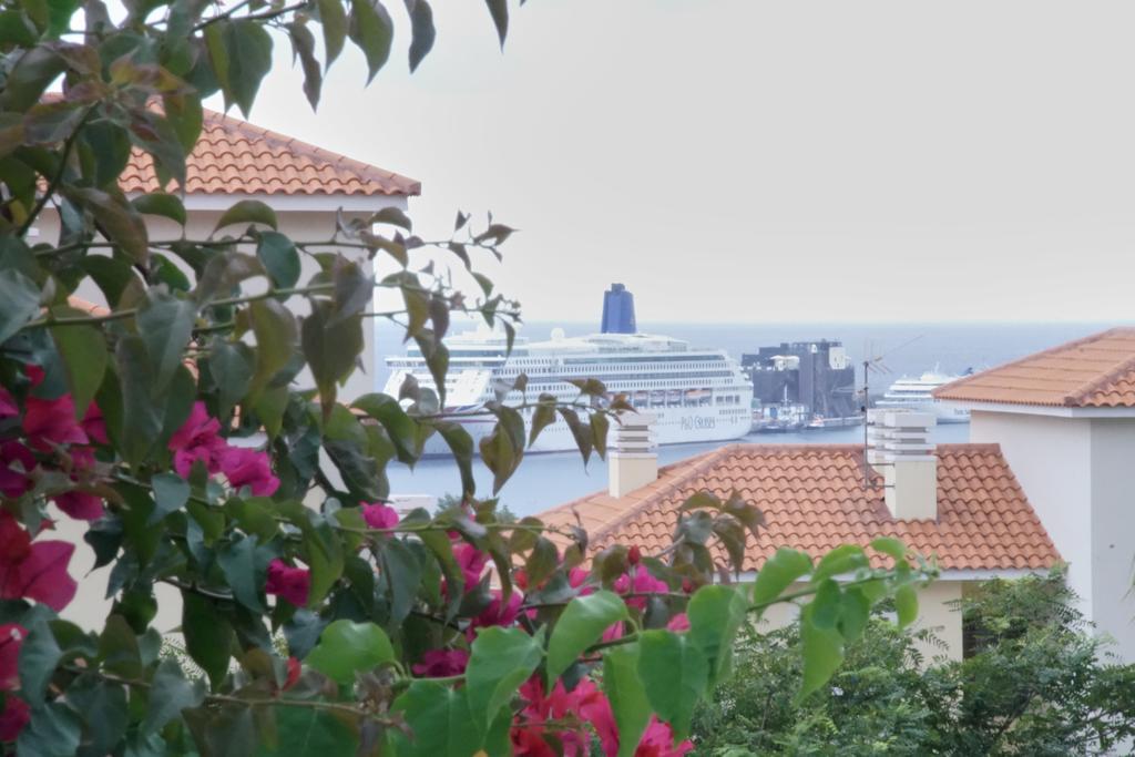 Carvalhal Old Town Leilighet Funchal  Eksteriør bilde
